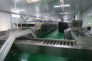 Independent research and development and production
